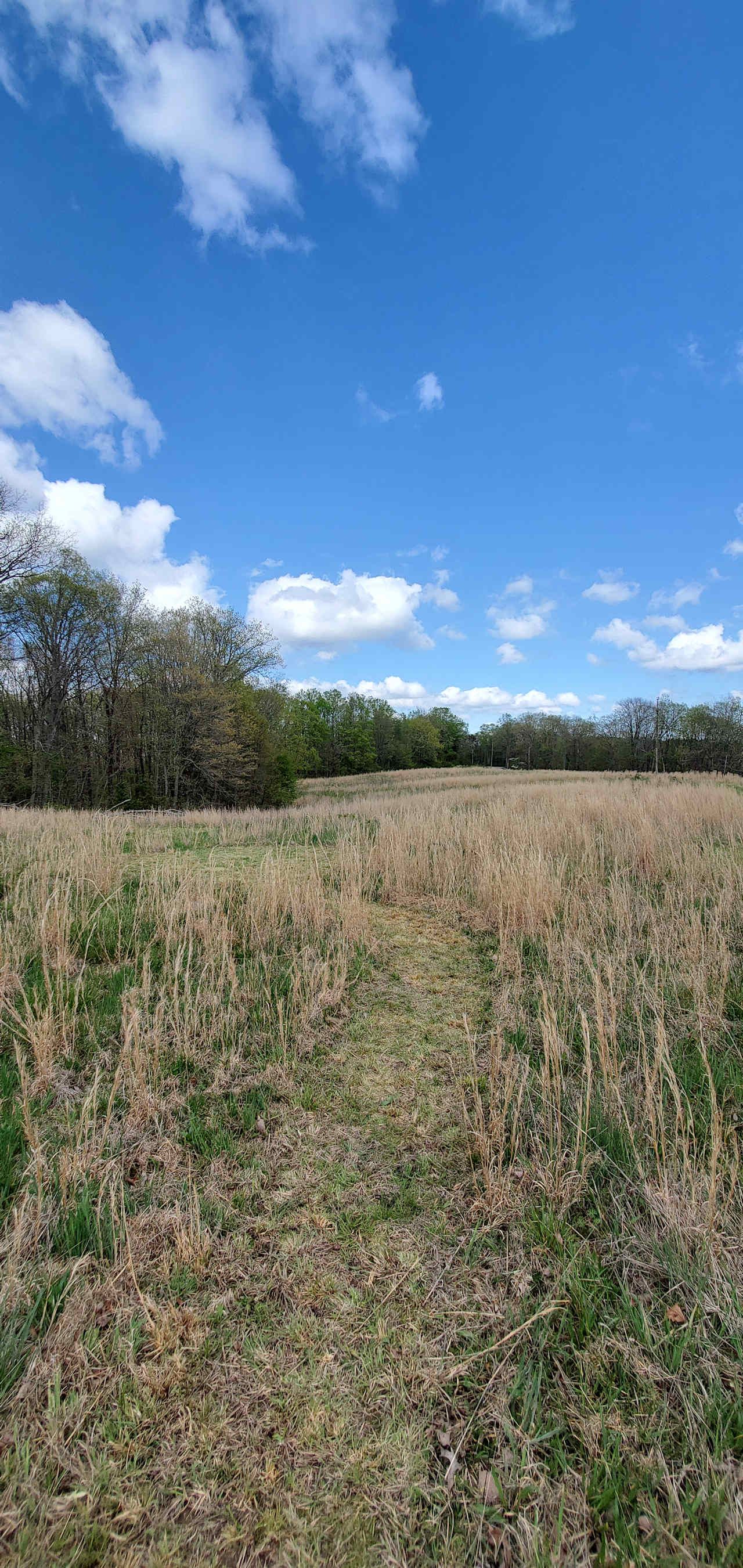 Pasture Camping Area