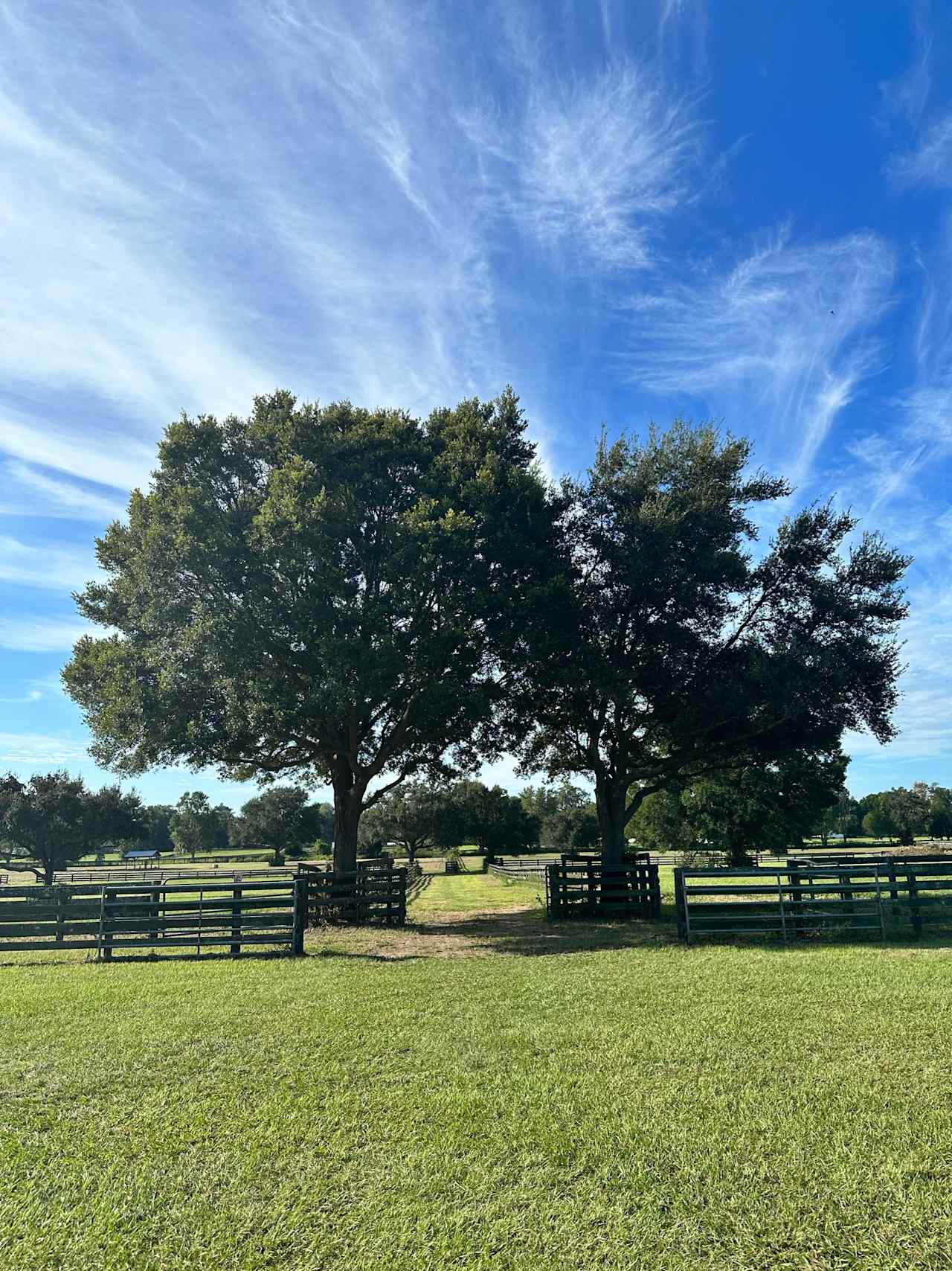 Dorado Oaks Equestrian Center