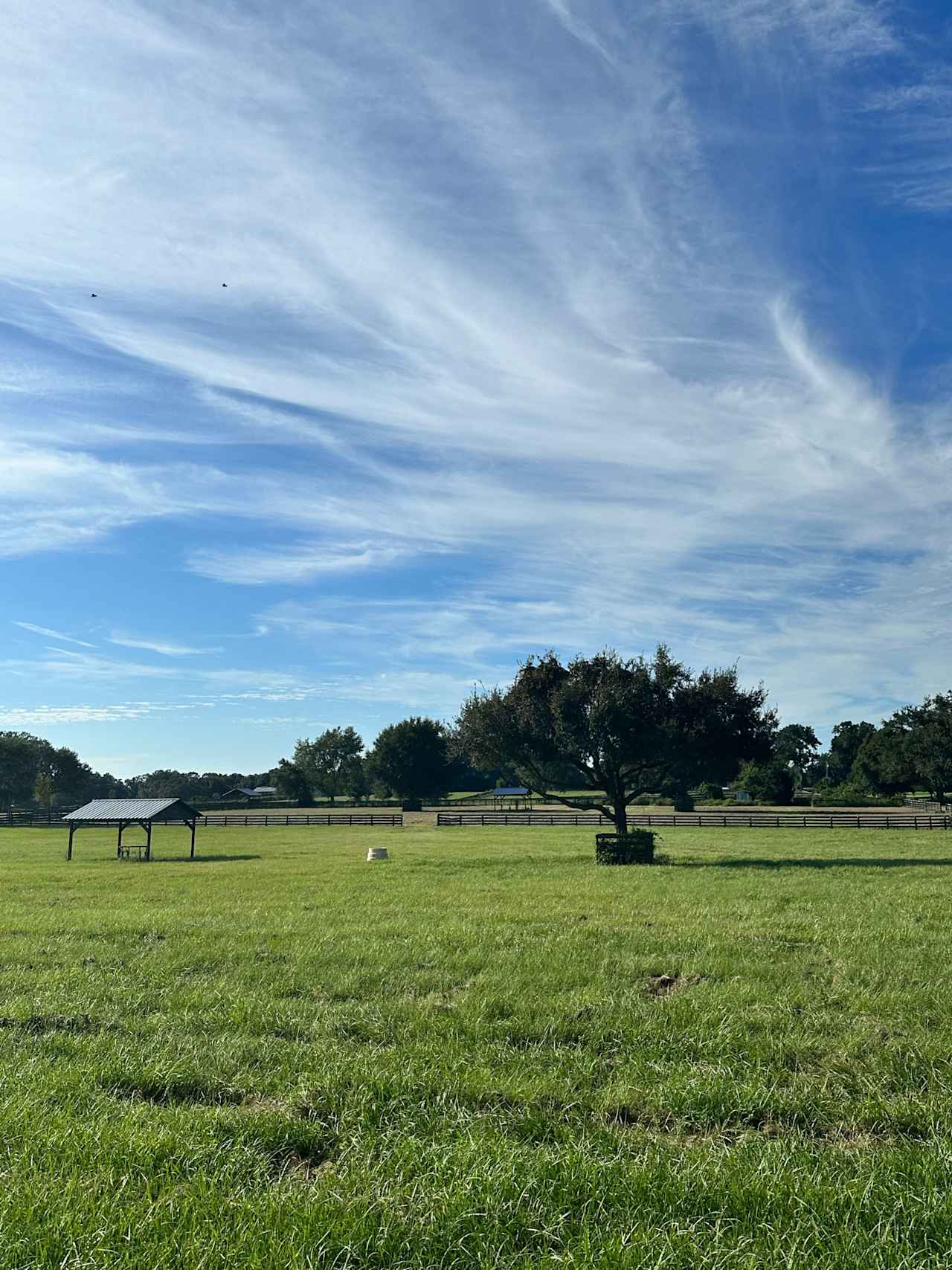 Dorado Oaks Equestrian Center