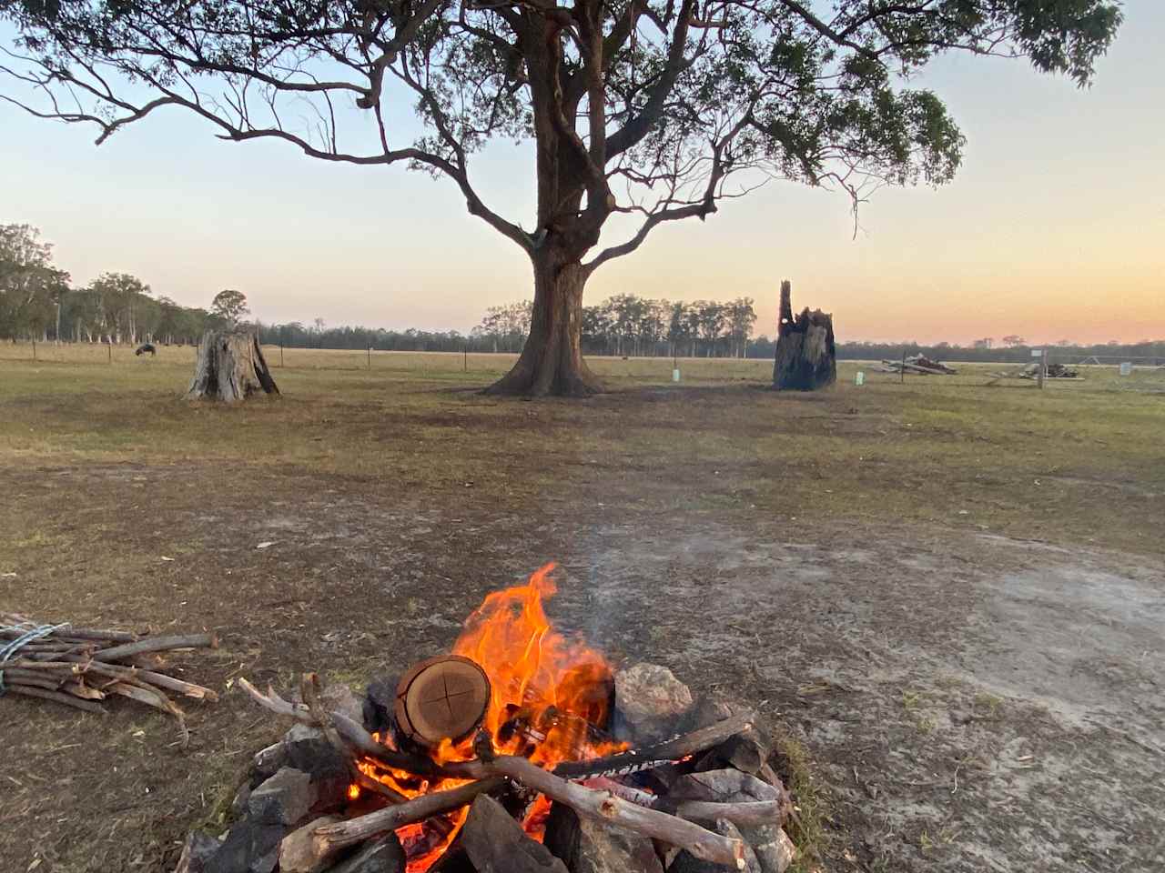 The Hatch Farm - Port Macquarie