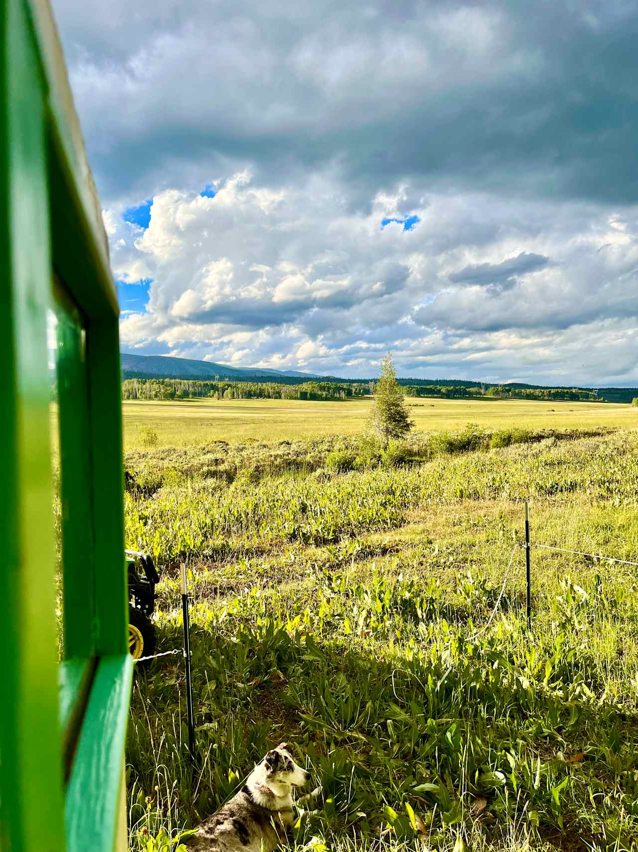 View from sheep wagon