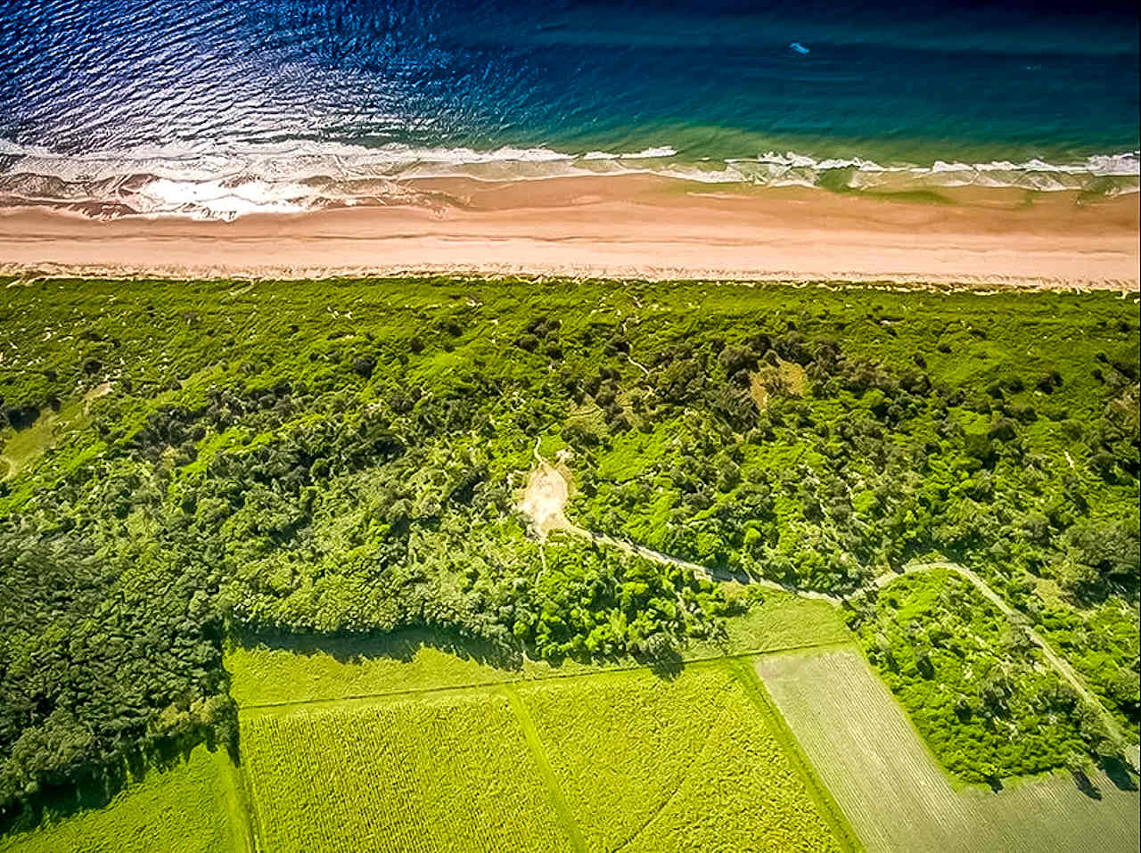 Absolute Beachfront Patchs Beach