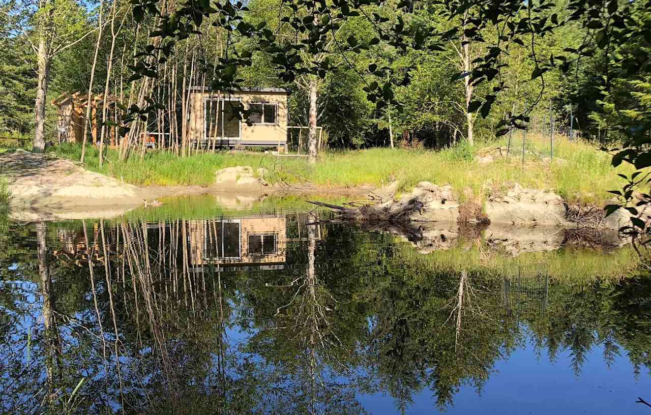 Spring at the pond house