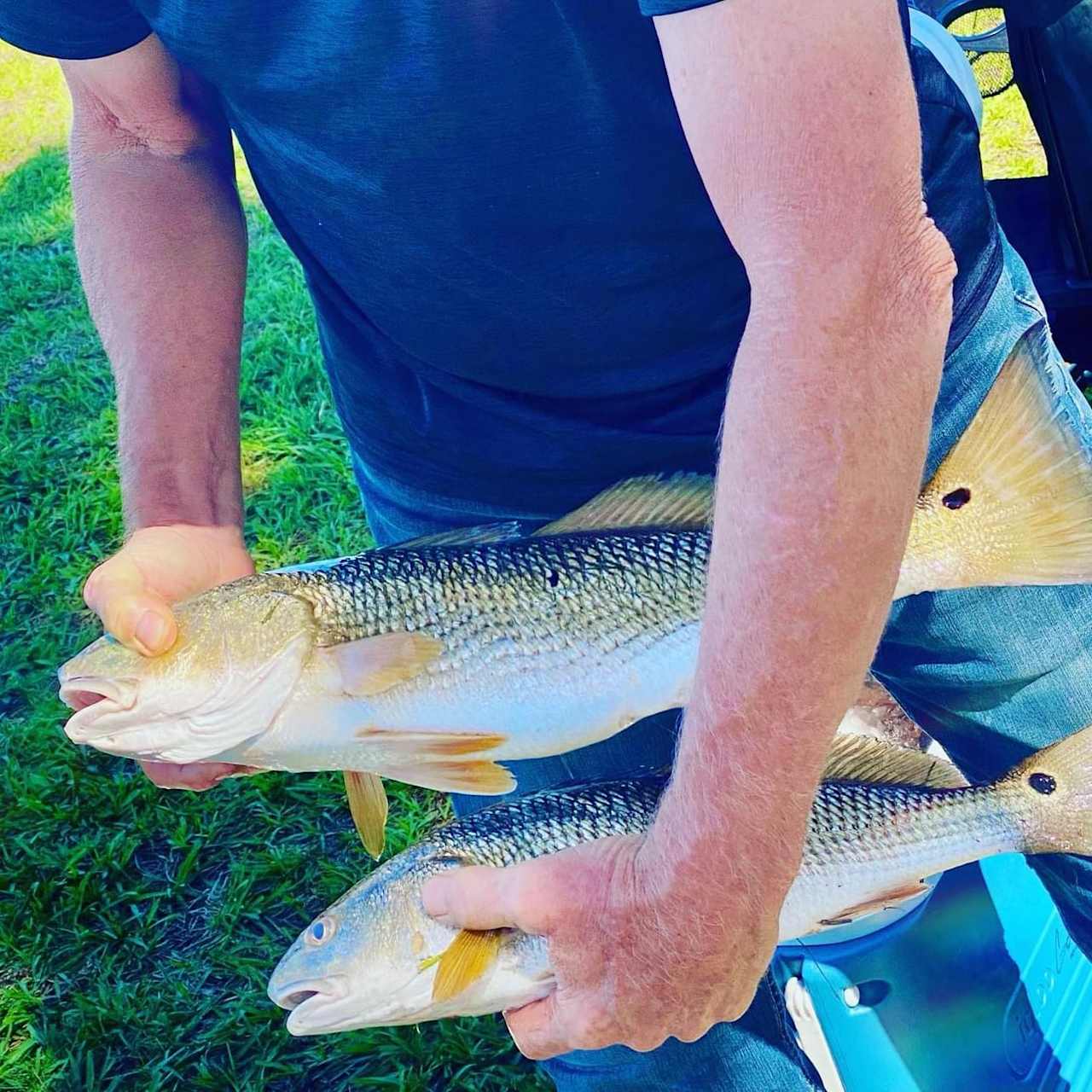 Imagine all the fish 🎣 you’ll catch on vacation 