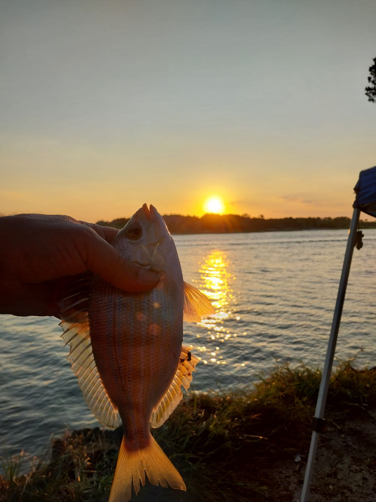 Great fishing on Intercoastal at Bings Landing