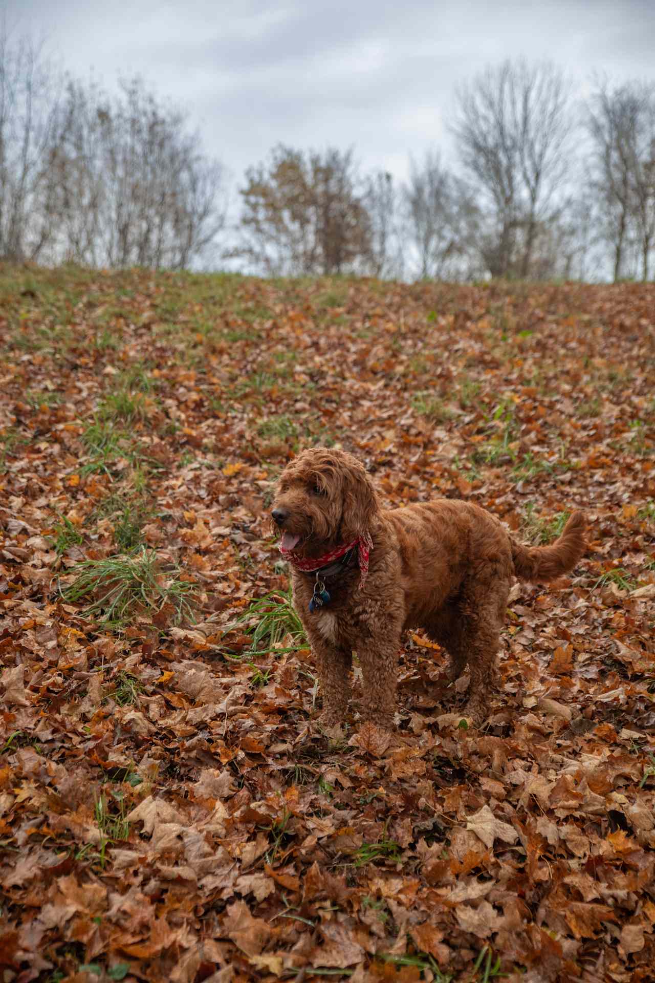 Walking the Hipcamp trails