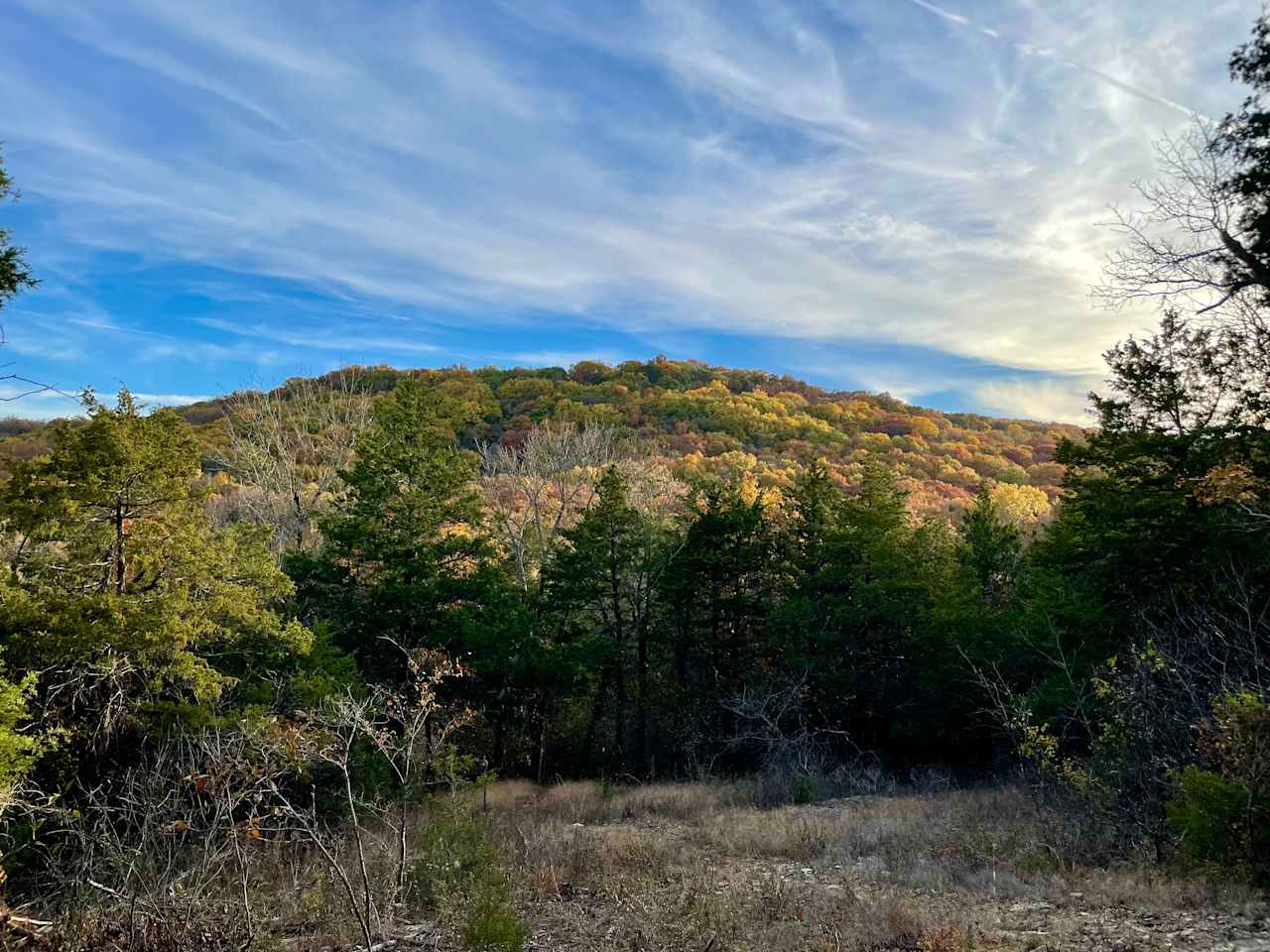 Fall view from the Old Elm trail.