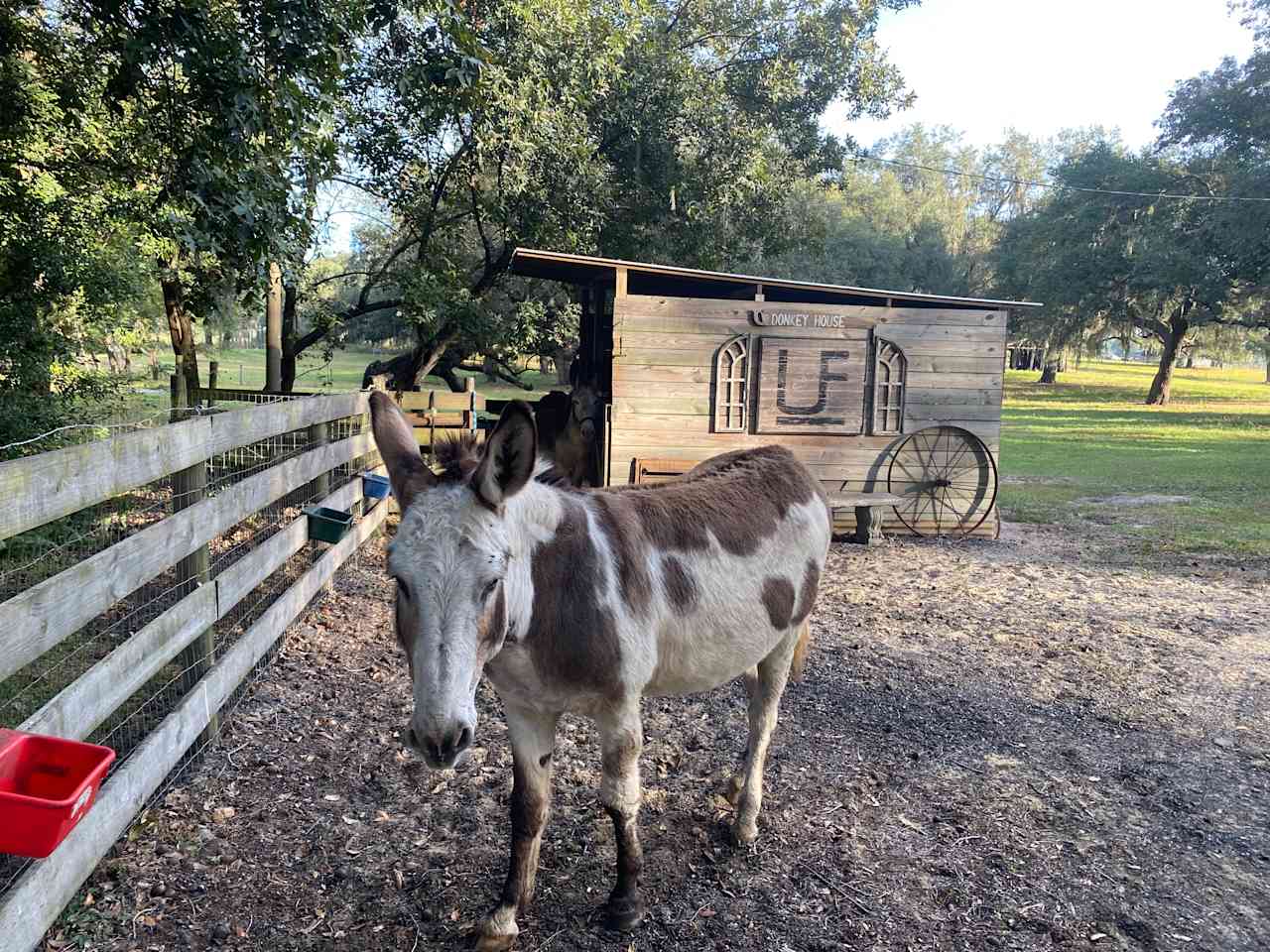 Trenchgoat farm