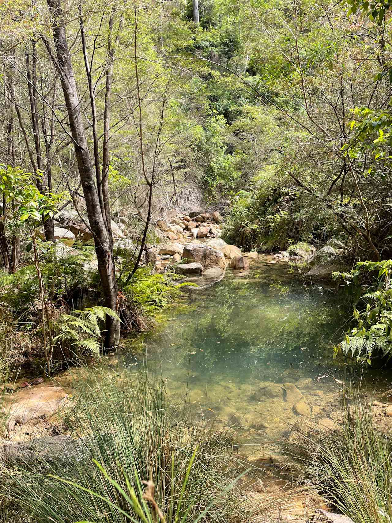 The Nile Off Grid family farm