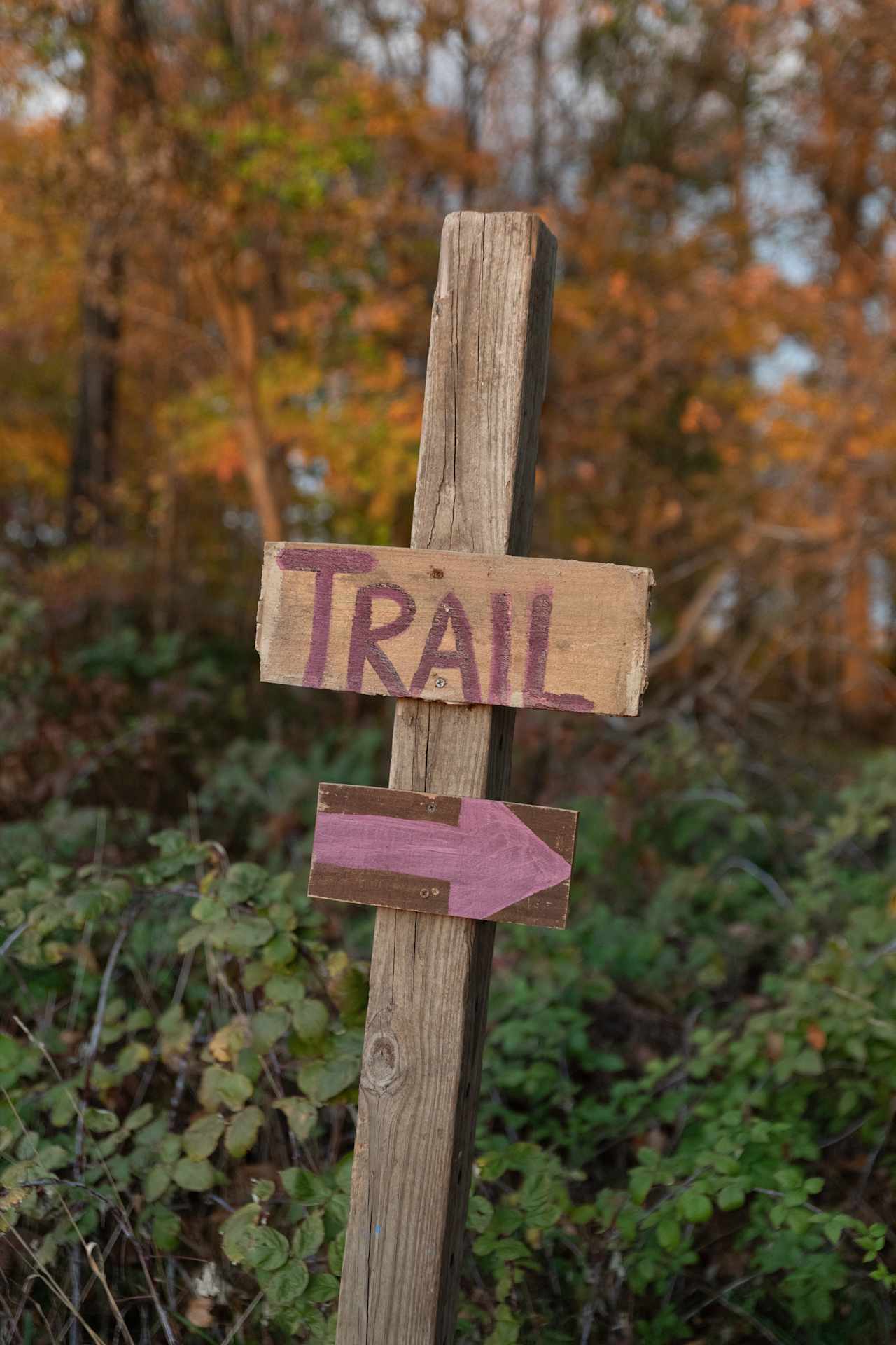 Trail signage around the property