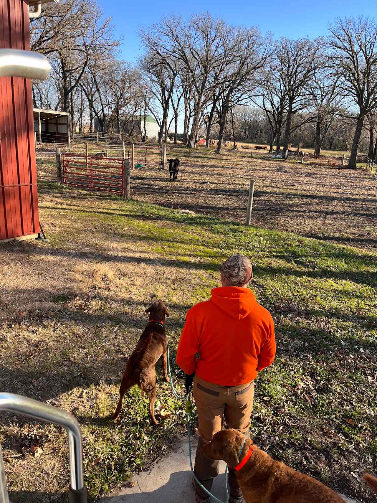 Stadings Farm & Ranch