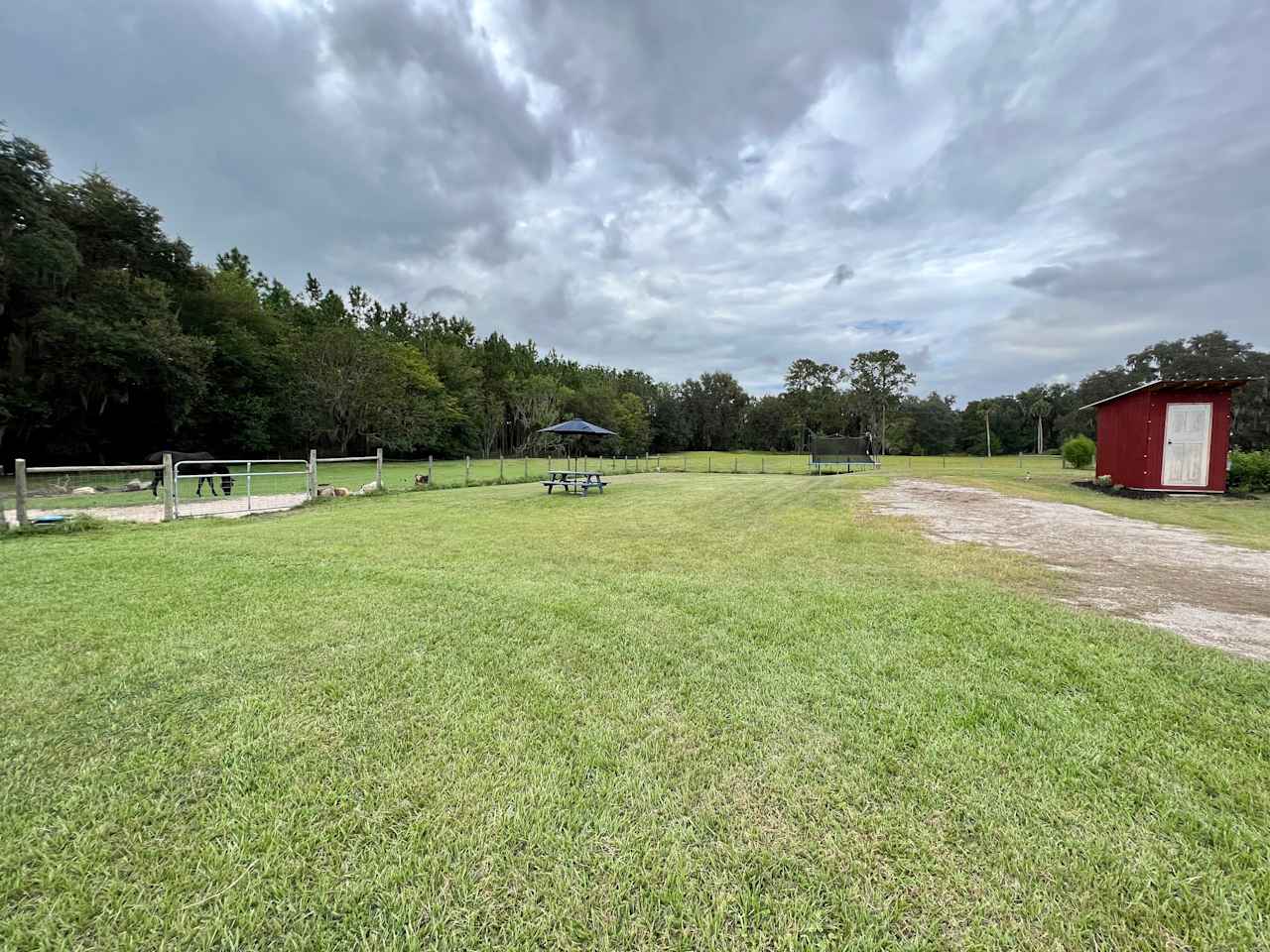 Collins Farm