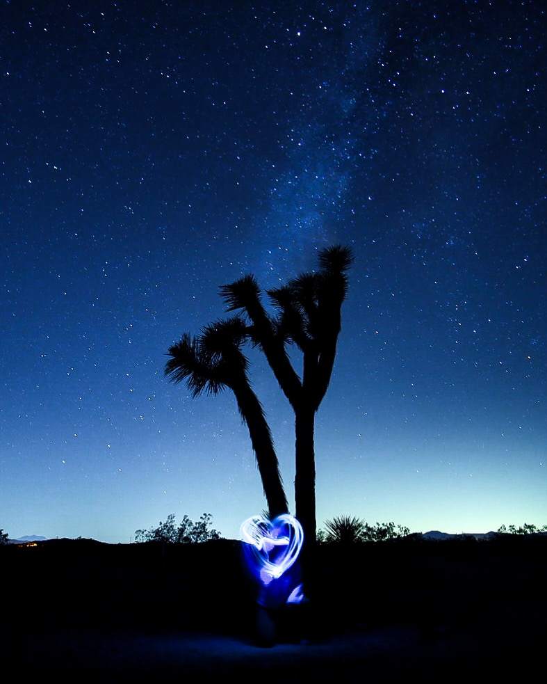 Cozy Retreat in Joshua Tree