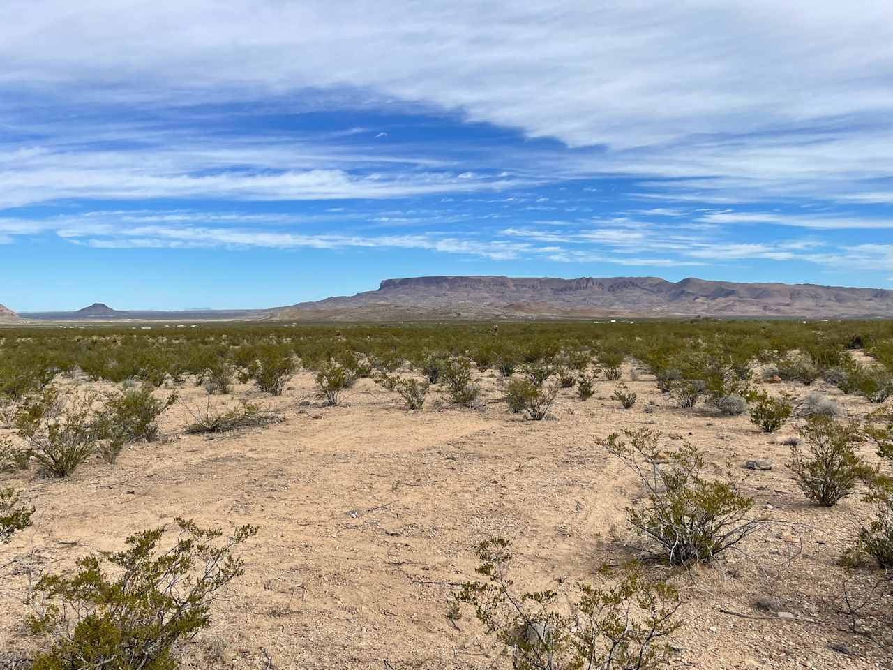 Ocotillo Flats Camping