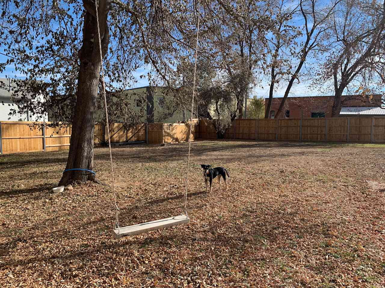 a tree swing, and our dog Yoko!