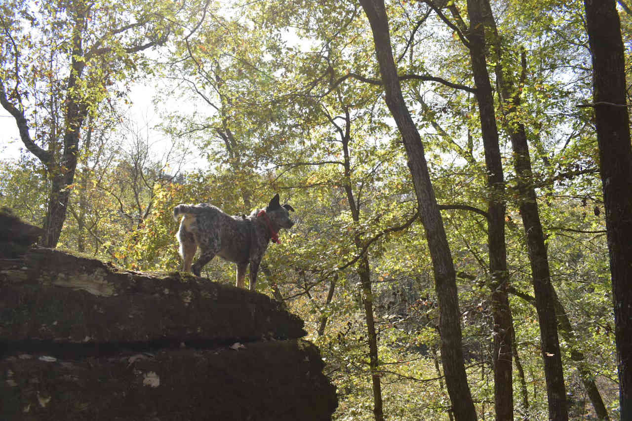 Batesville Mountain Campground