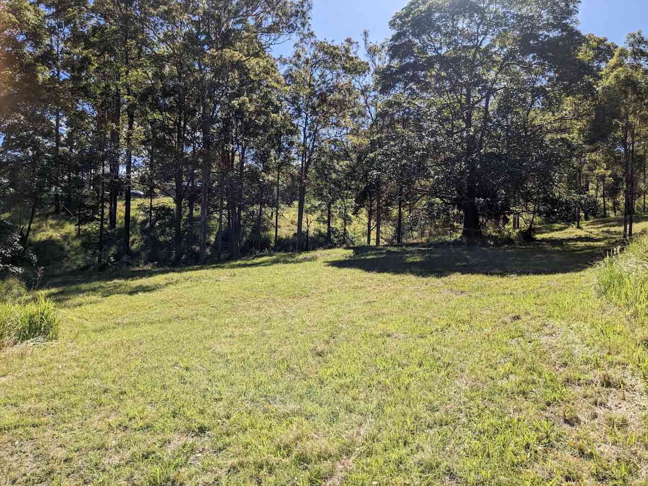 valley in the middle of the property