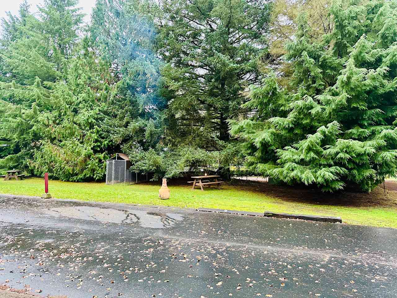 Level campsite shaded by evergreens. Dog kennel, picnic table, chiminea, power cord. Grass is 30' x 45', paved parking is 15' x 45'.