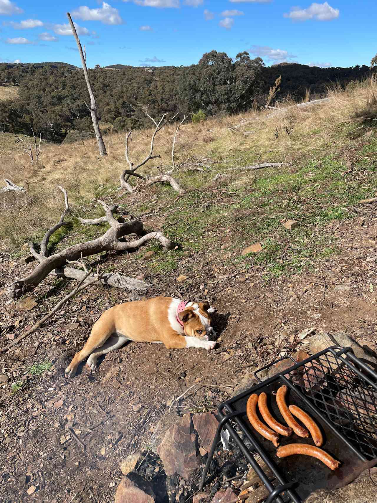 Burra Burra Ridge