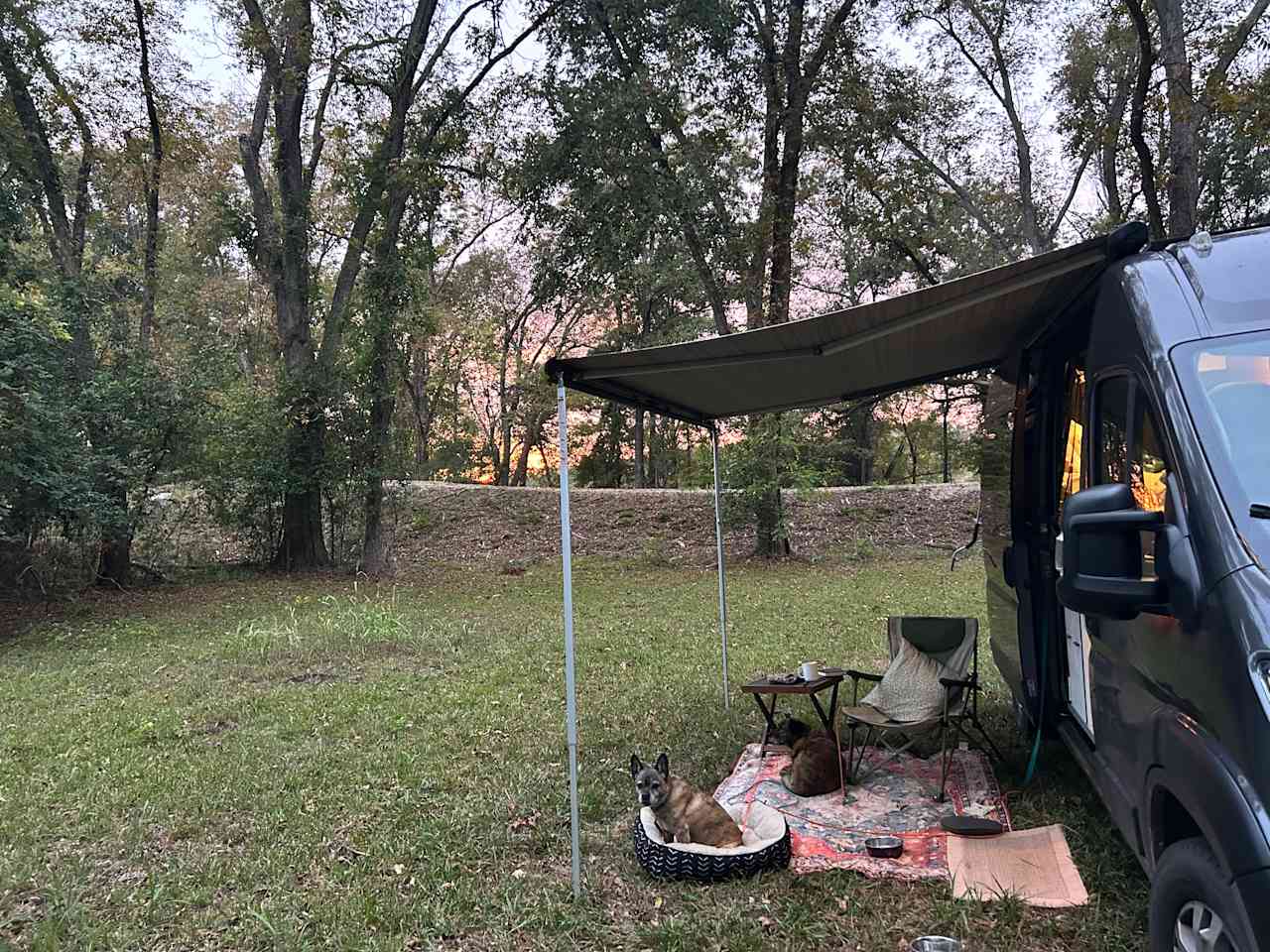 Louisiana Plantation River Bank