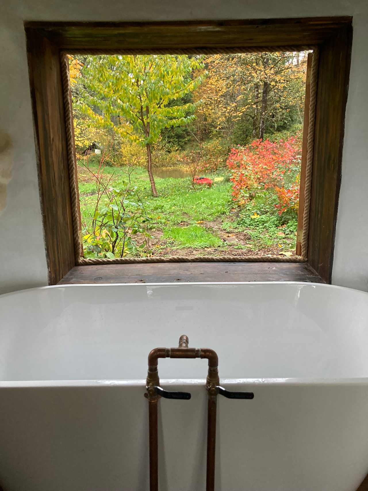 View from the bathtub, in the fall