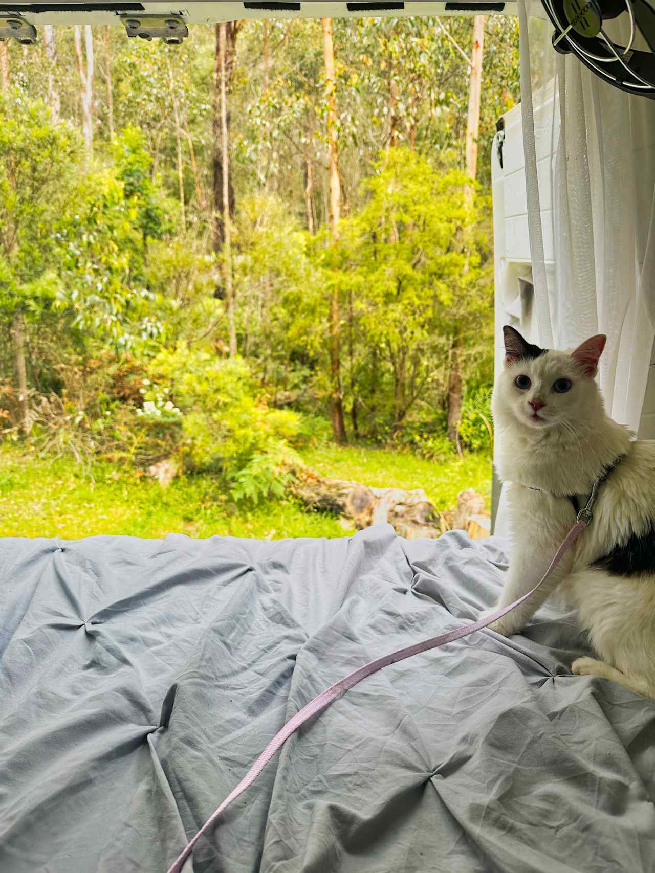 Gorgeous view from bed!