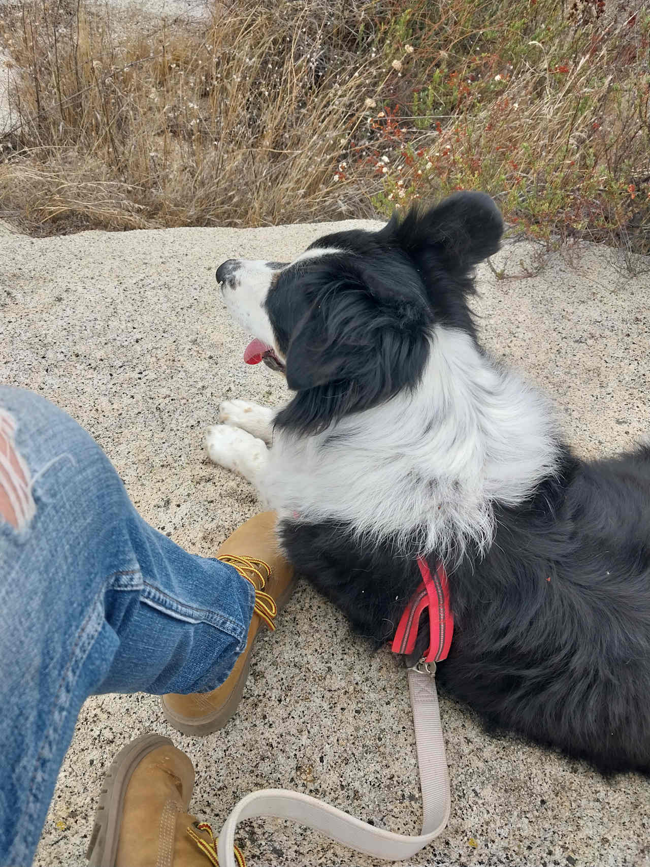 On a hike