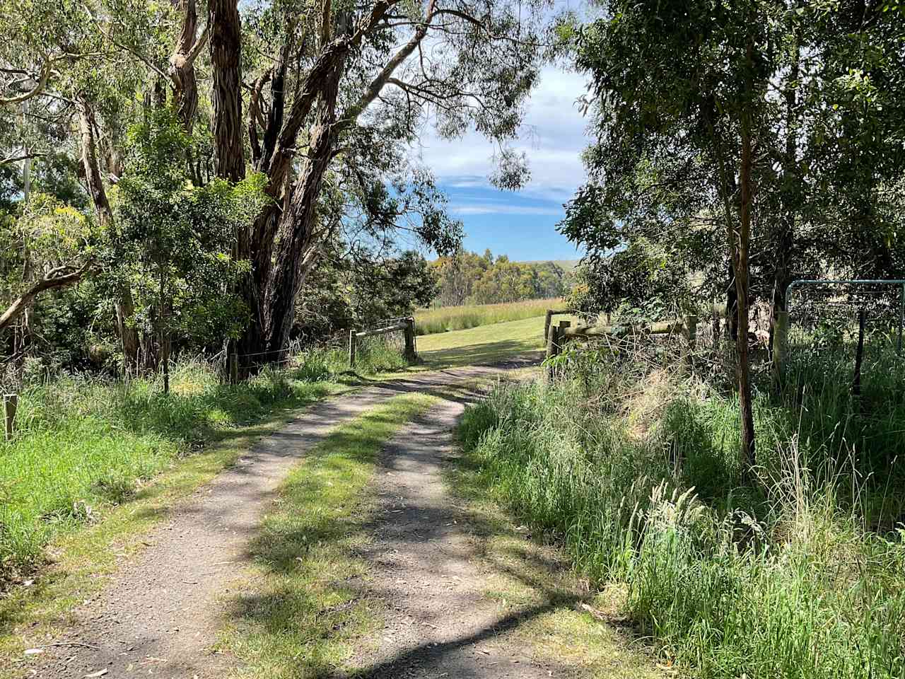 The driveway and open gate into site 1 The Goat Paddock