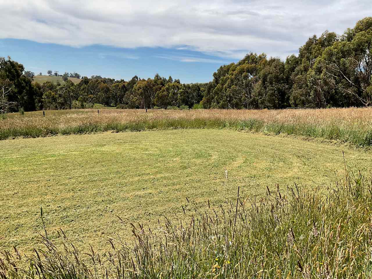 The Goat Paddock