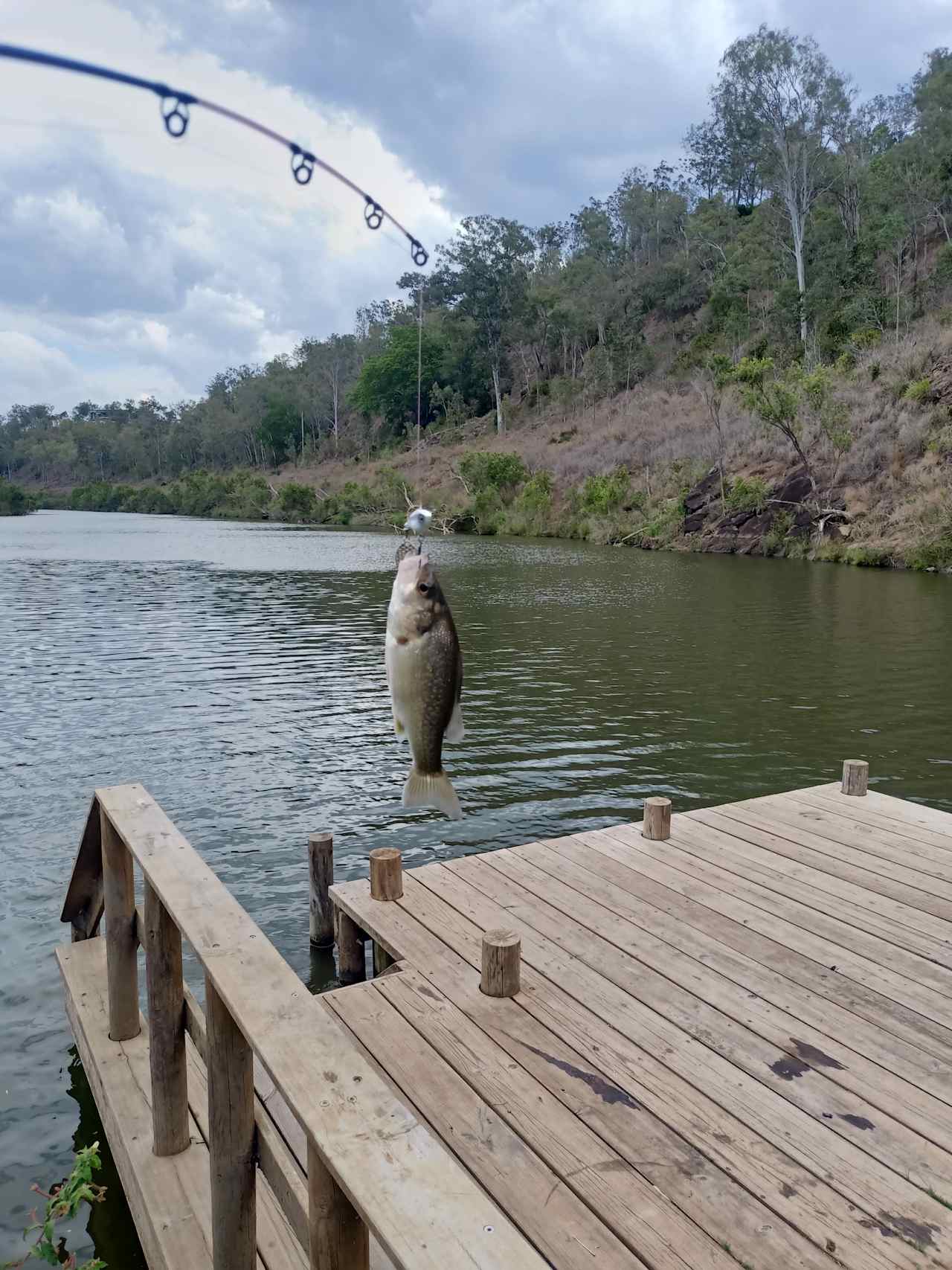 Weefarm Brisbane River Camping