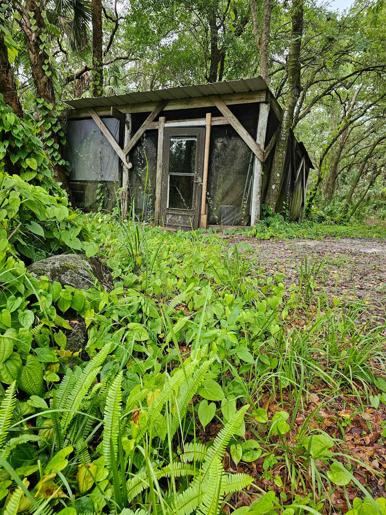 Sandy's Swamp land in Florida