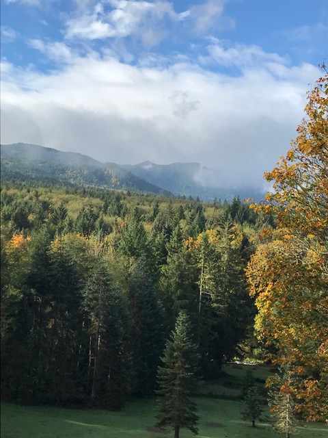 View from Host's deck