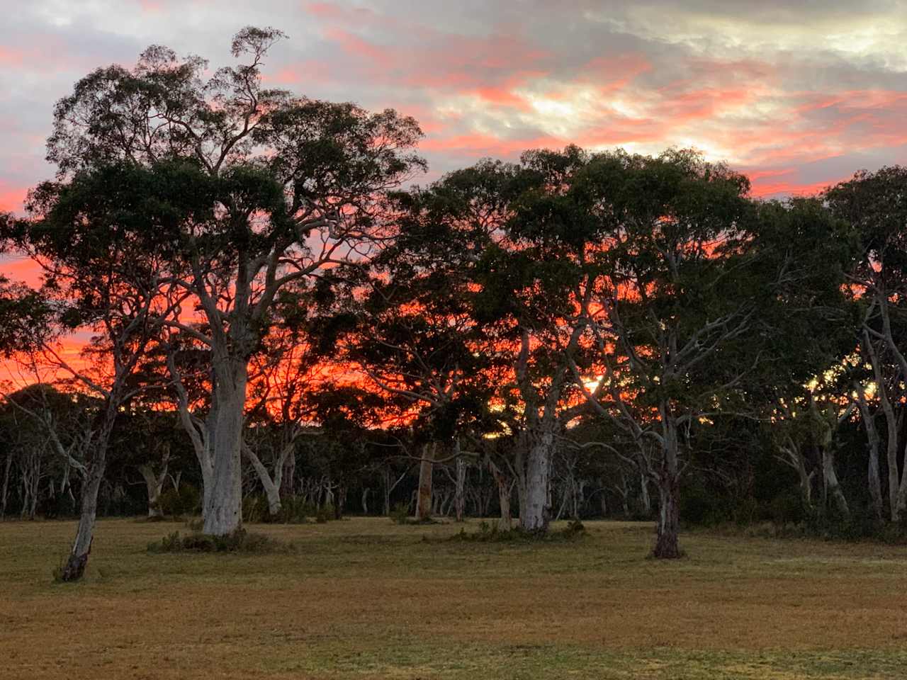 Spectacular sunsets through the ghost gums