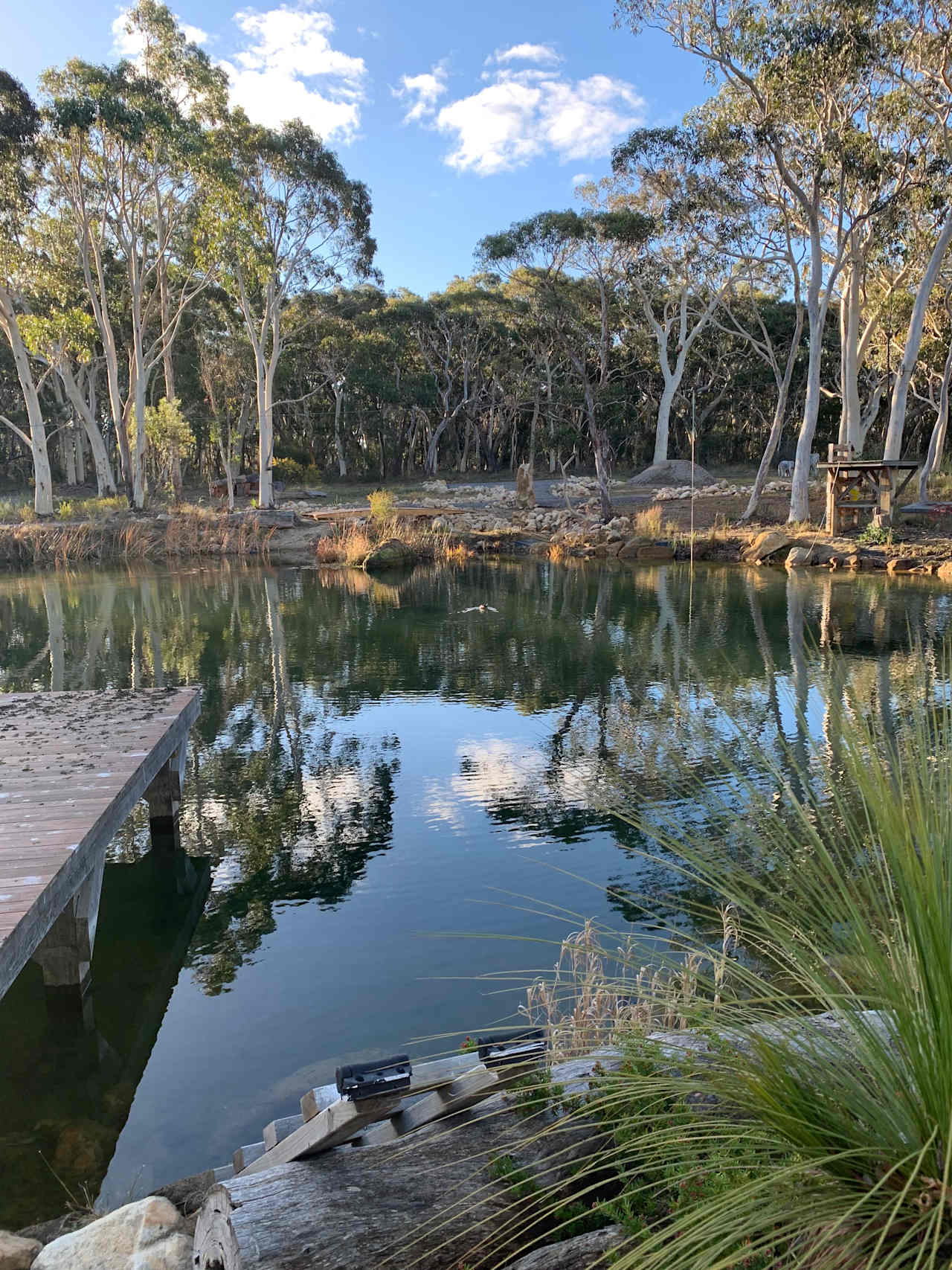 Swimming hole