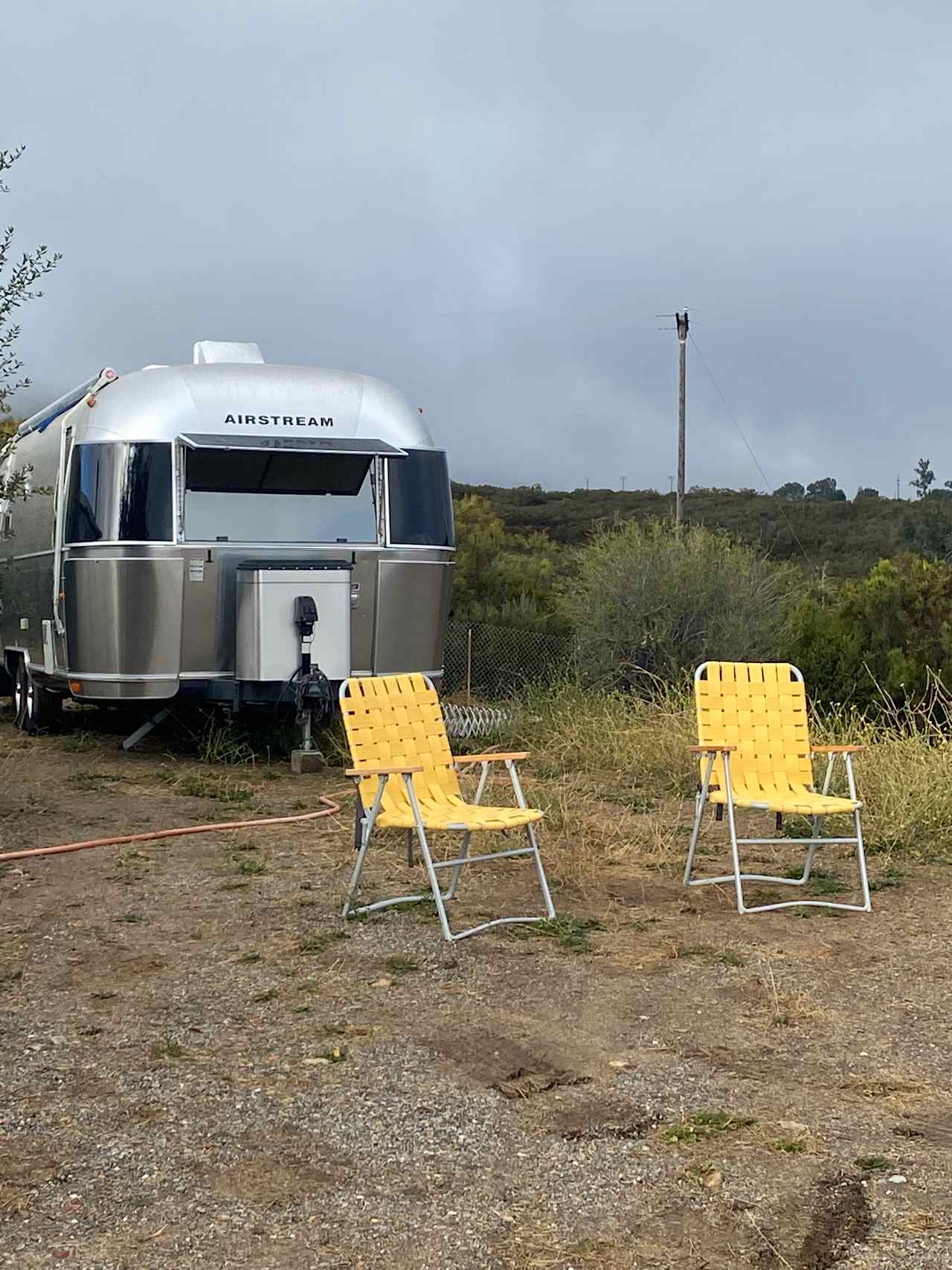 The site 