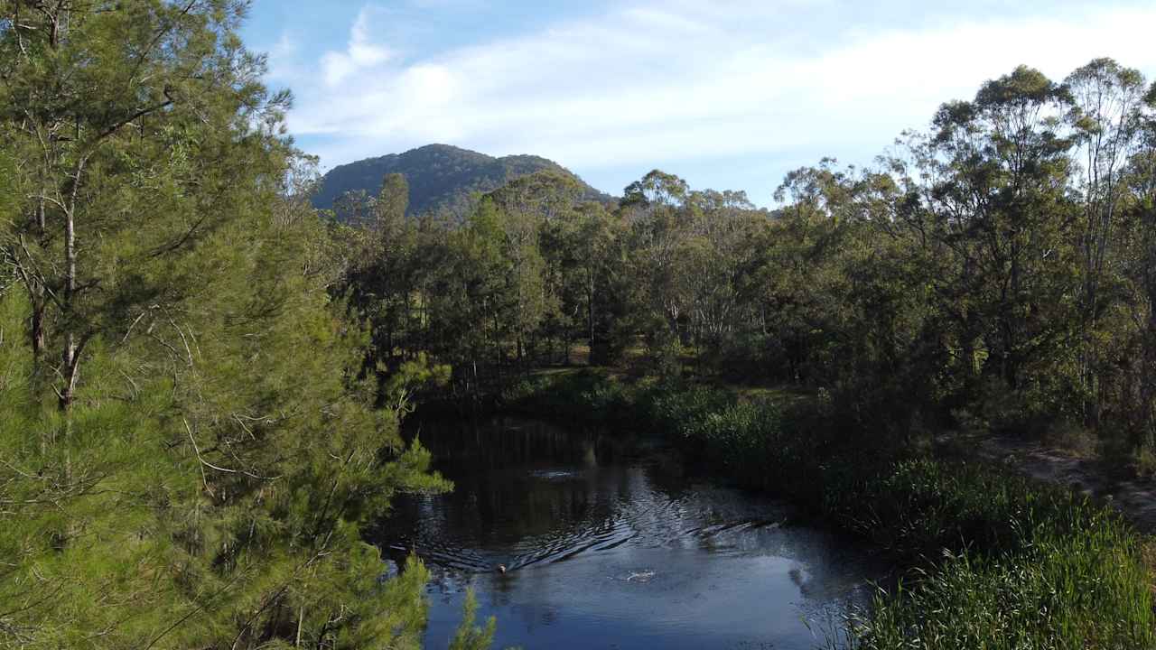 Wattagan Mountains View