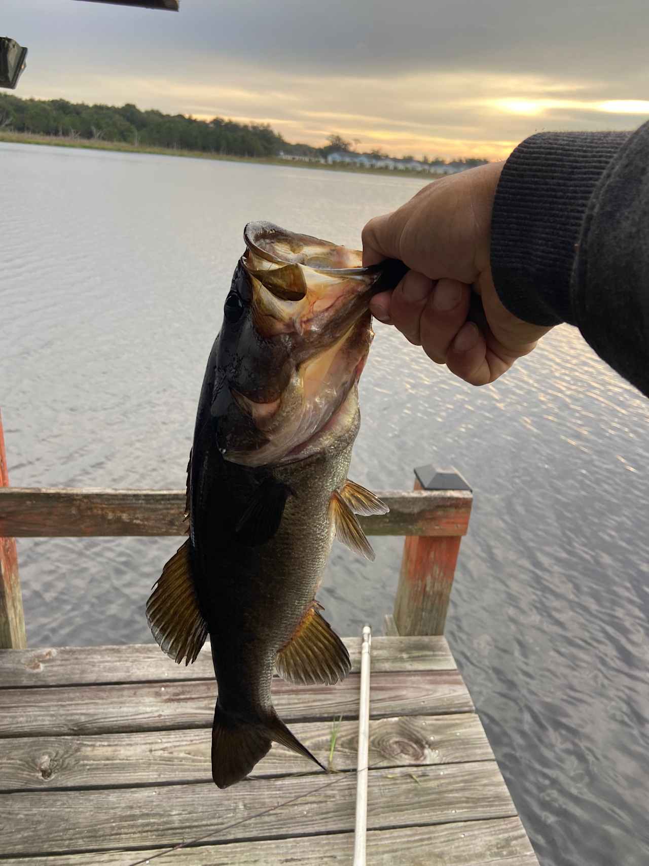 Beautiful Orlando-Area Lake Camping