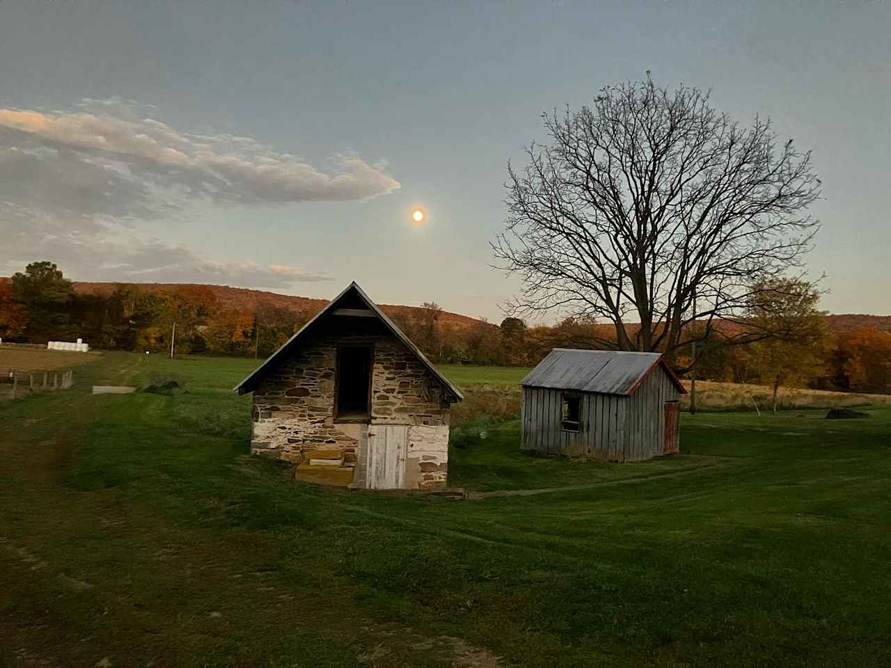 Korgemae Farm Happy Heart Highlands