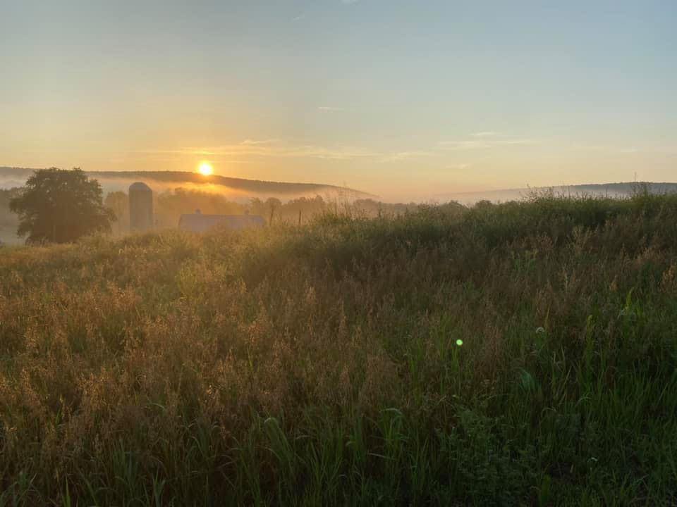 Korgemae Farm Happy Heart Highlands