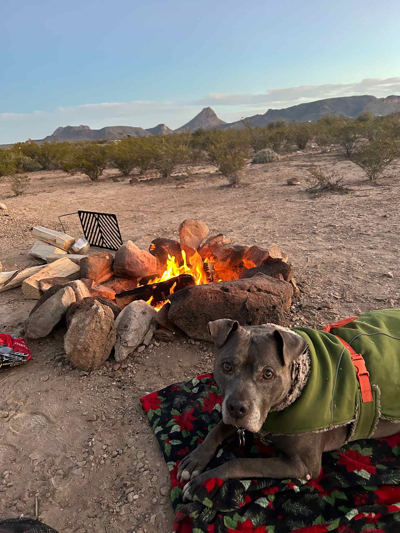 Starry Night Retreat