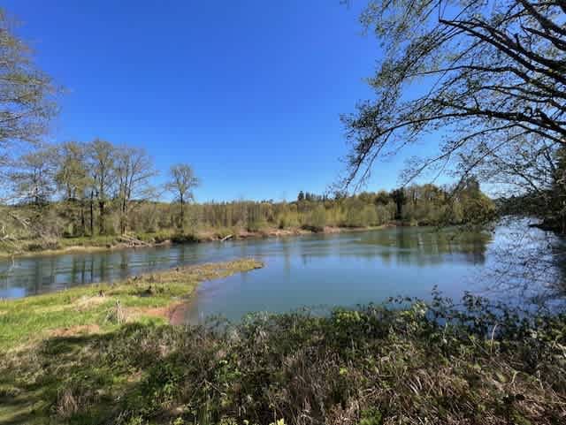 Cowlitz River Camping