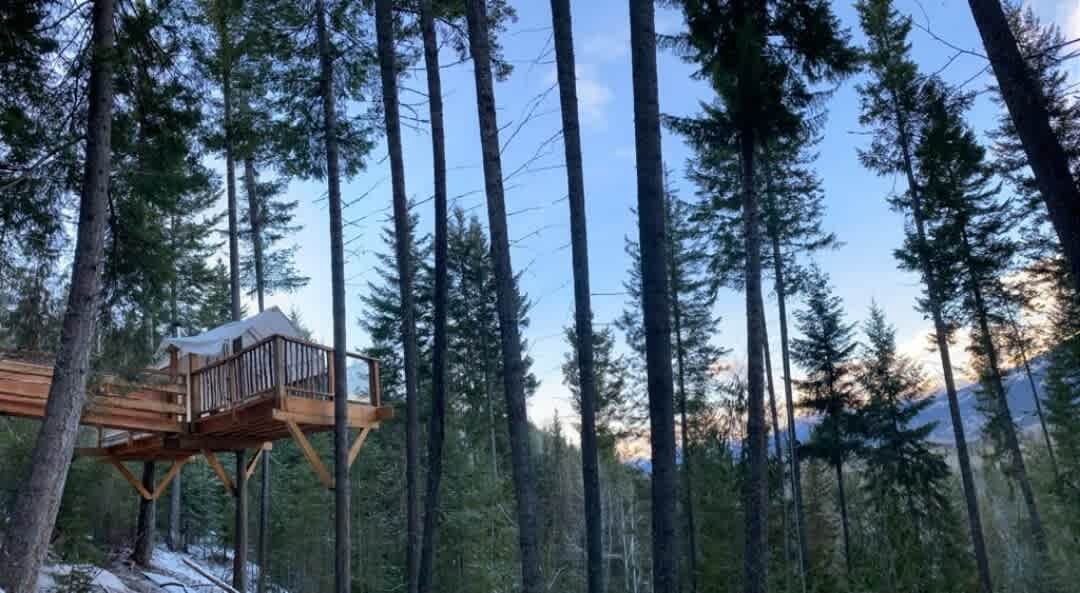 Fir & Feather Mountain Treehouse