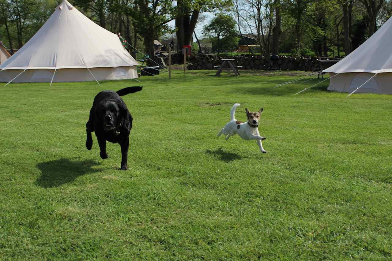 Willow Grove Farm Glamping