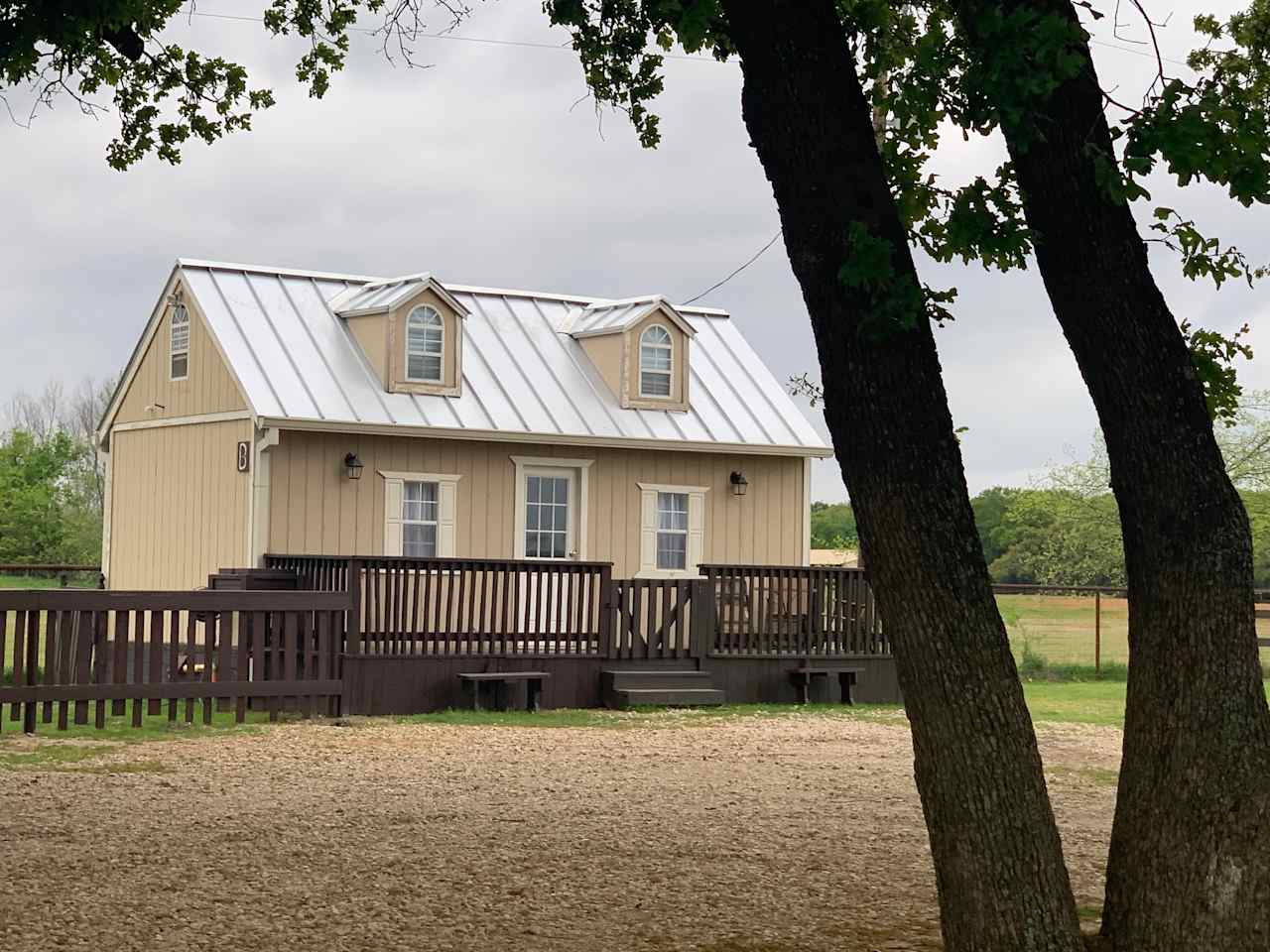 Golden Curls Ranch