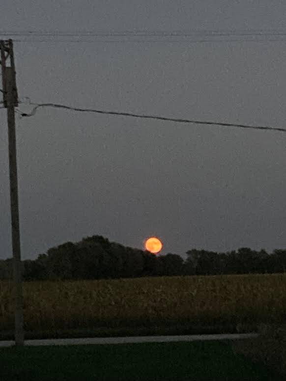 Harvest Moon