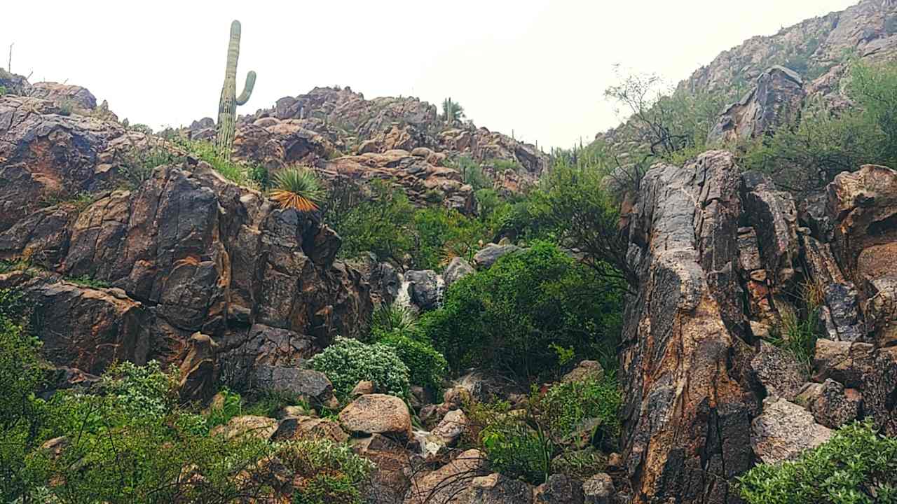 July Waterfalls are Amazing