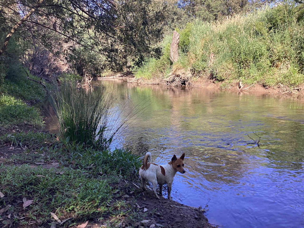 King Parrot Creek