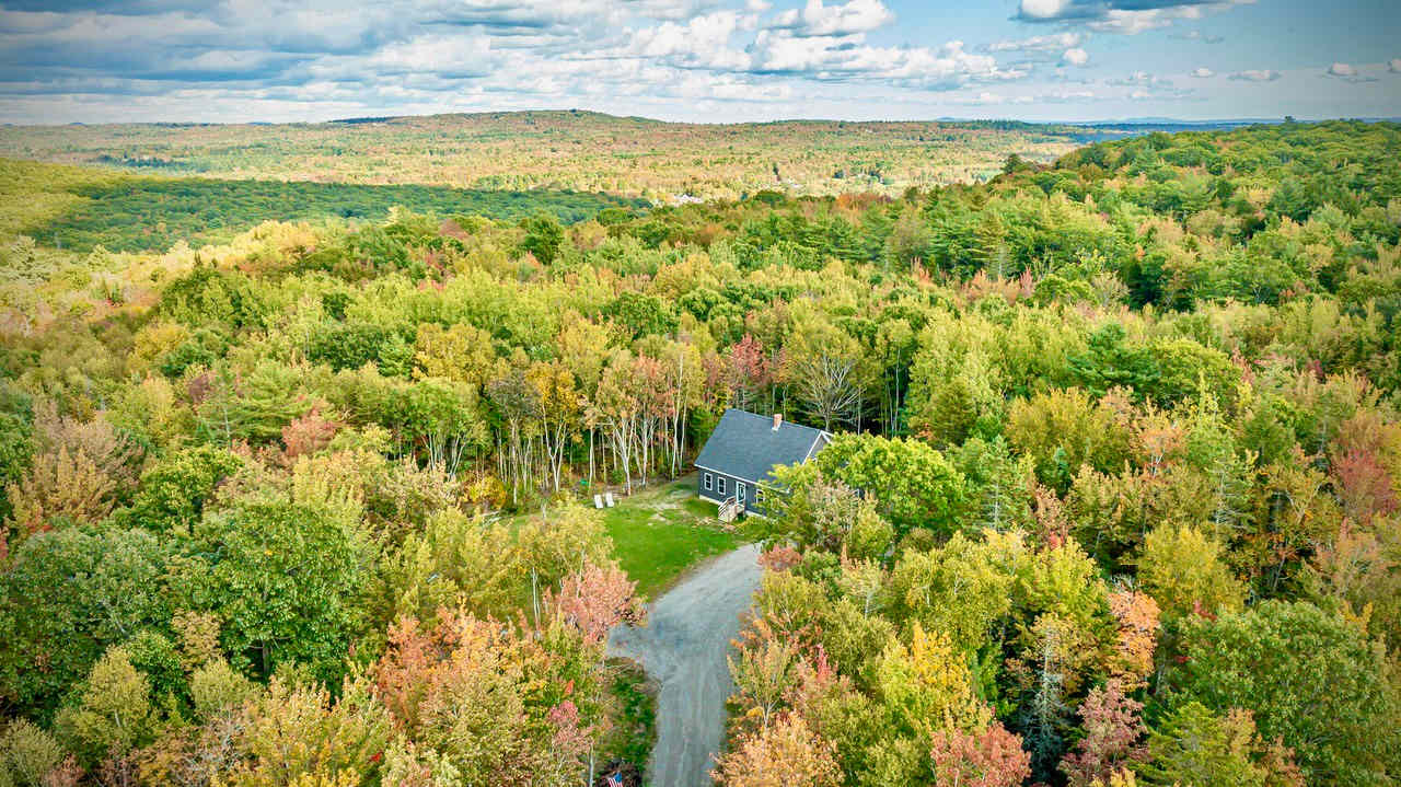 Forest Retreat