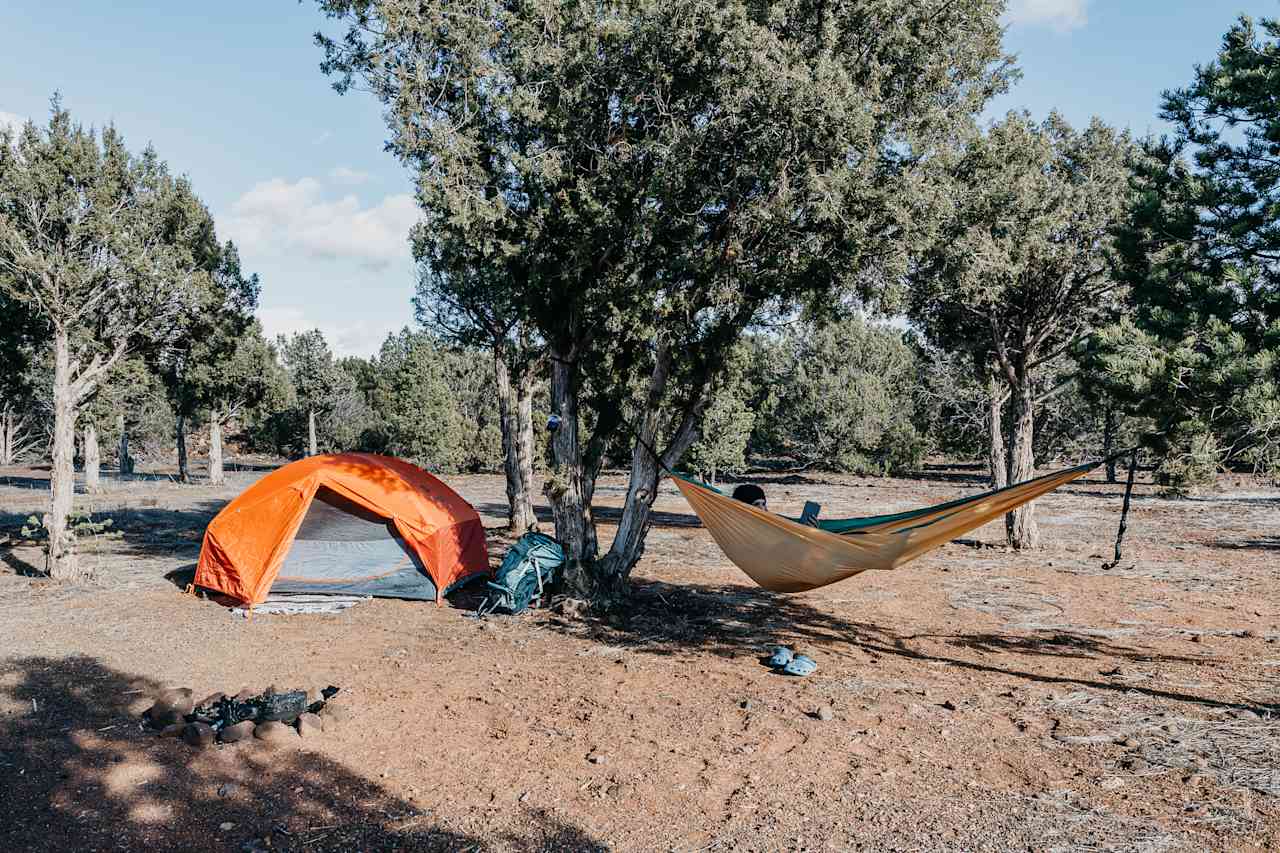 There are tons of trees and close enough together to hang a hammock.