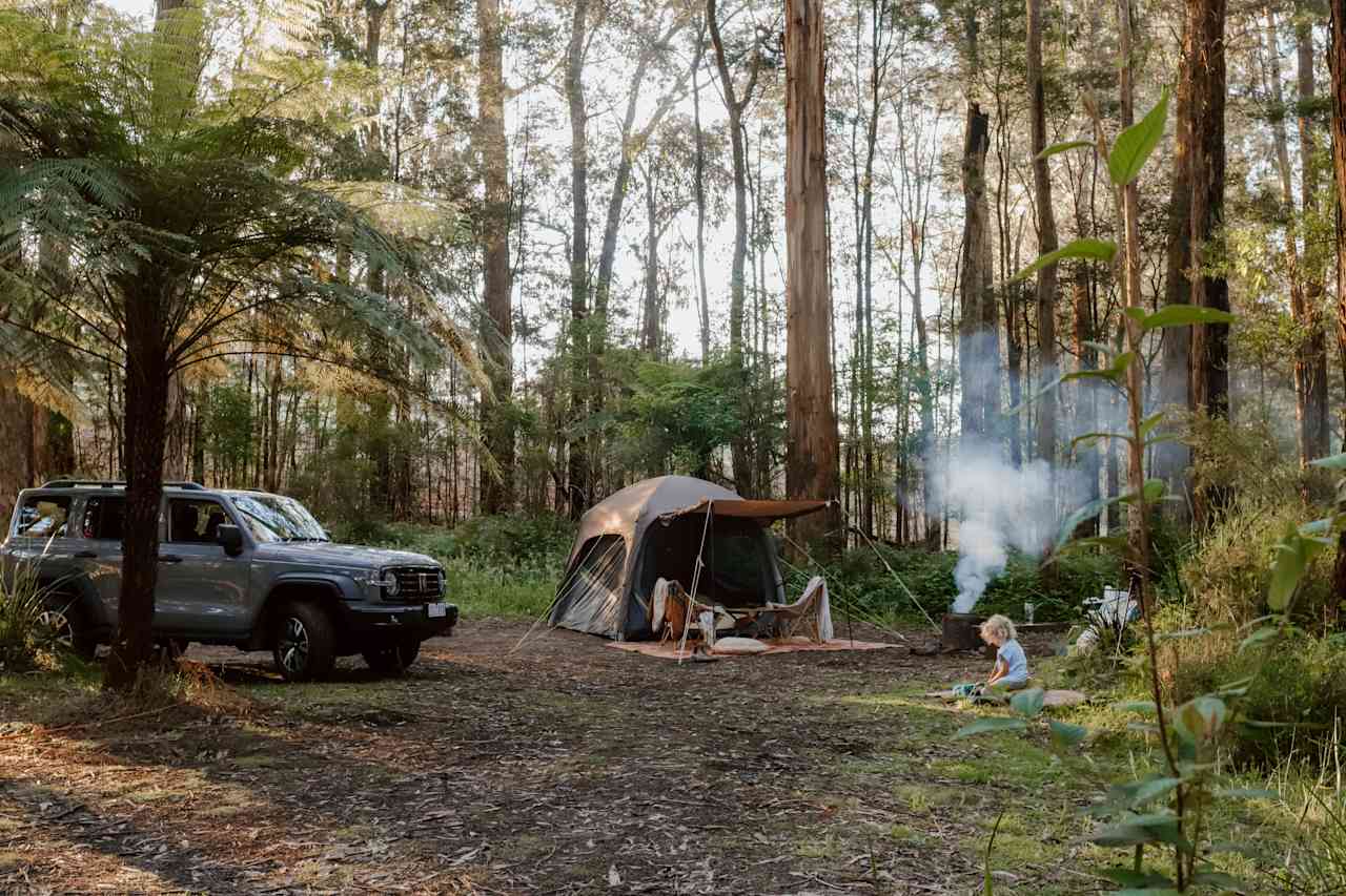 Toolangi Springwater Forest Camp